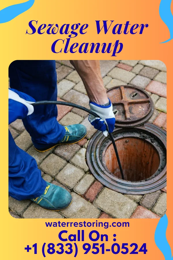 Sewage Water Cleanup in Alexandria Bay, NY