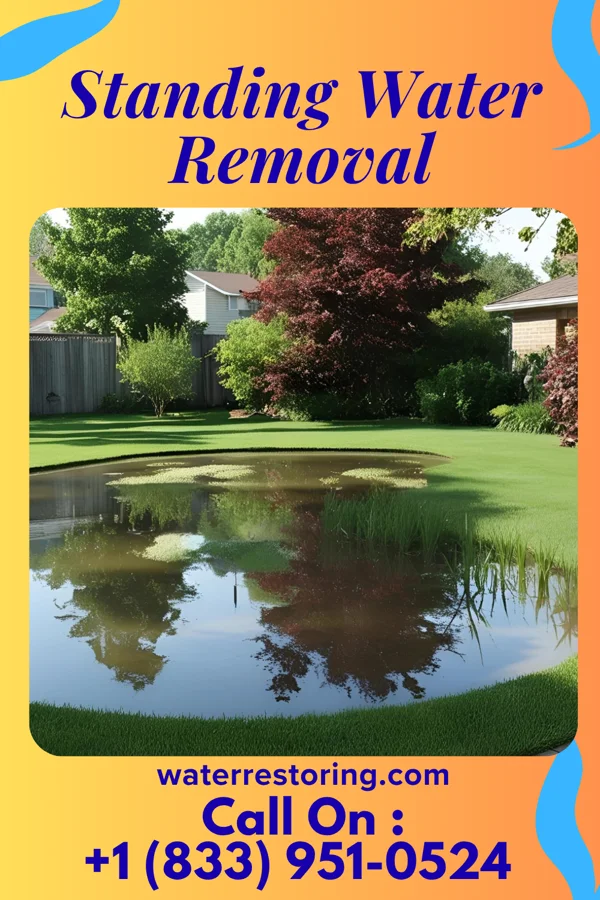 Standing Water Removal in Alexandria Bay, NY